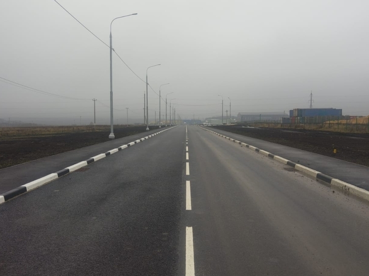  В Тульской области открылась новая дорога в ОЭЗ «Узловая»