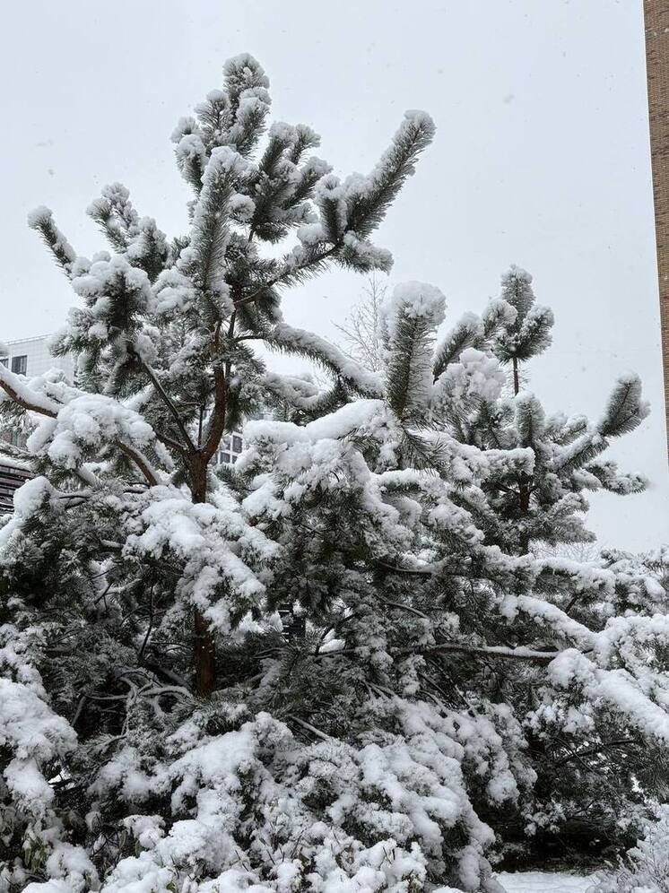 Синоптики предупреждают о гололедице и похолодании в Красноярске 25 ноября