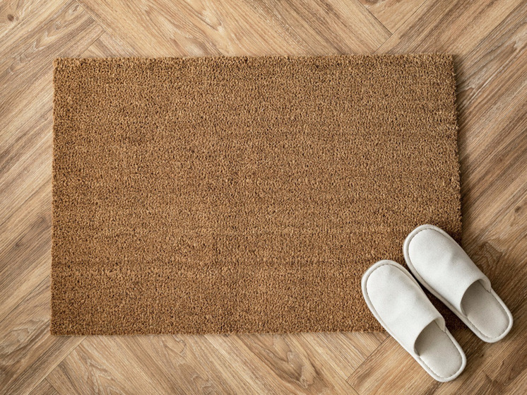 Юрист предупредил о возможных штрафах за наличие придверных ковриков в многоквартирных домах