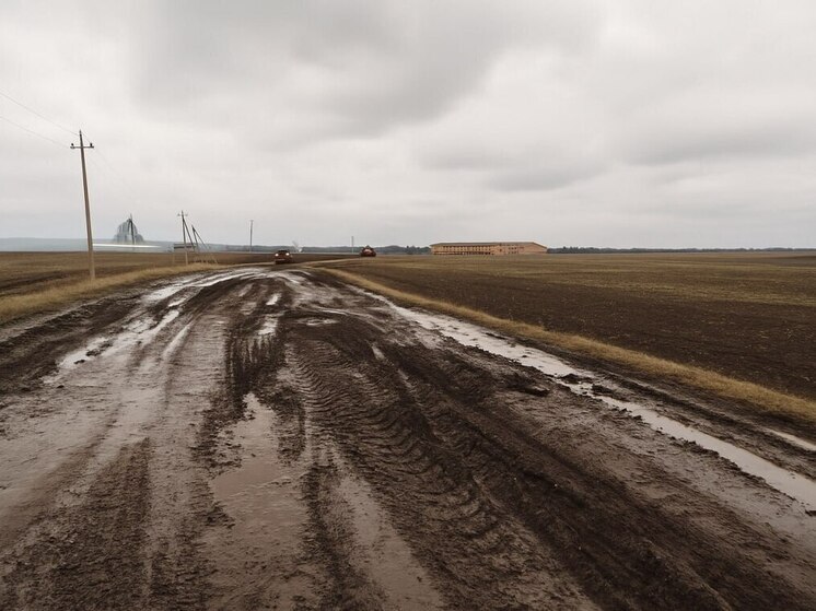 Жители села Андриановка в Мучкапском округе столкнулись с серьёзной проблемой