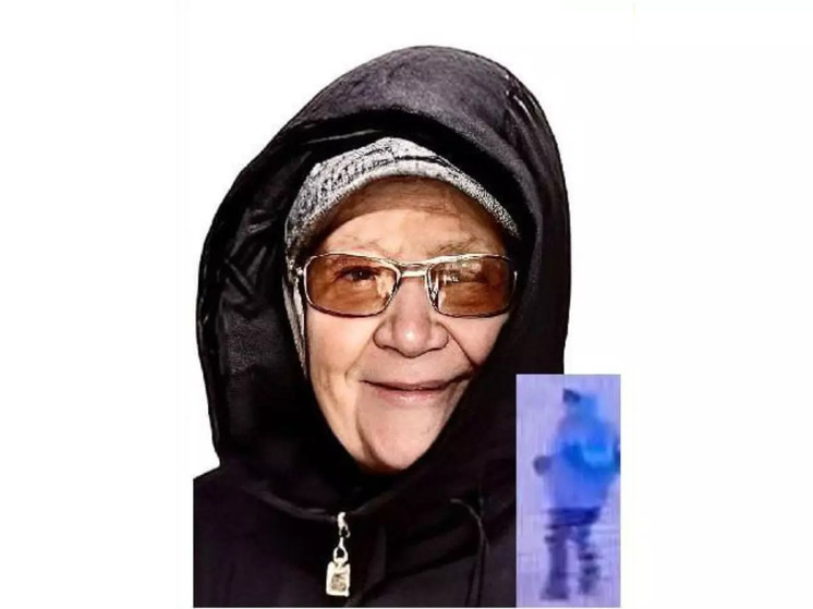 Более 230 человек ищут пропавшую в Ростовской области 91-летнюю пенсионерку