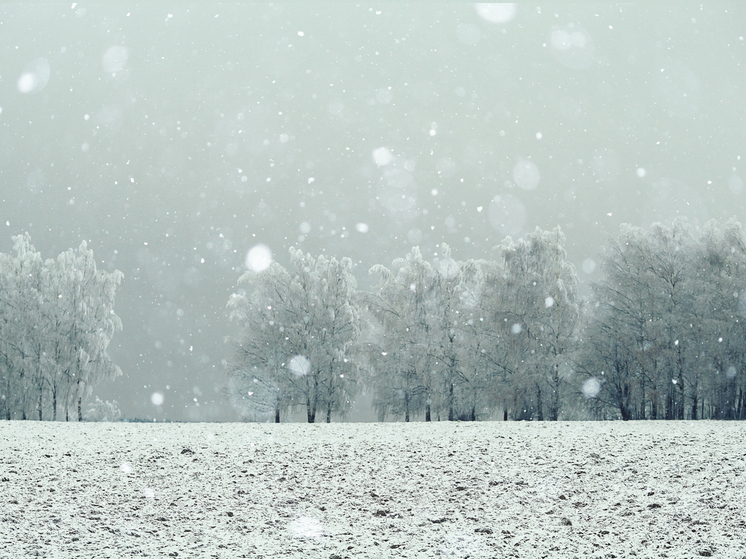 Погода в Архангельской области: метель и гололед
