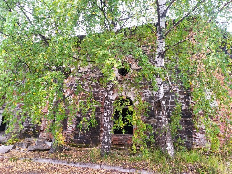 Новый владелец старинного завода в Кончезере поделился планами по преобразованию исторических строений