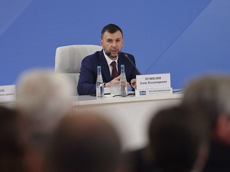 Денис Пушилин представил в Госдуме стратегию опережающего развития Донбасса