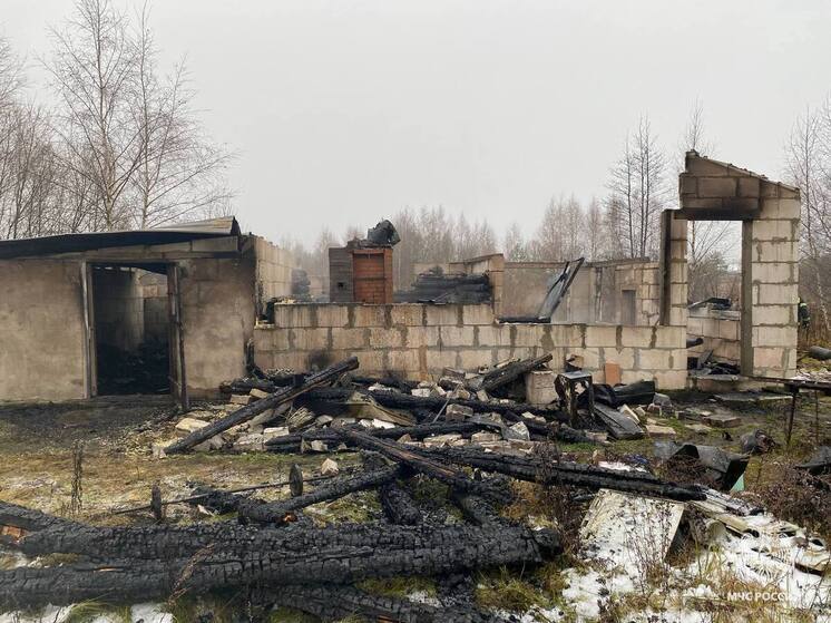 Названа причина смертельного пожара под Тверью