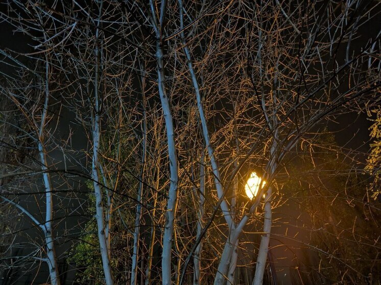 Воронежские синоптики спрогнозировали мощное похолодание 25 ноября