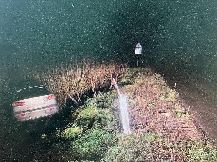 В Костромской области нетрезвая автоледи уронила в кювет двух спутников