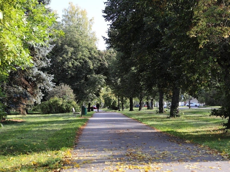 В Саранске создают новый парк в честь участников СВО