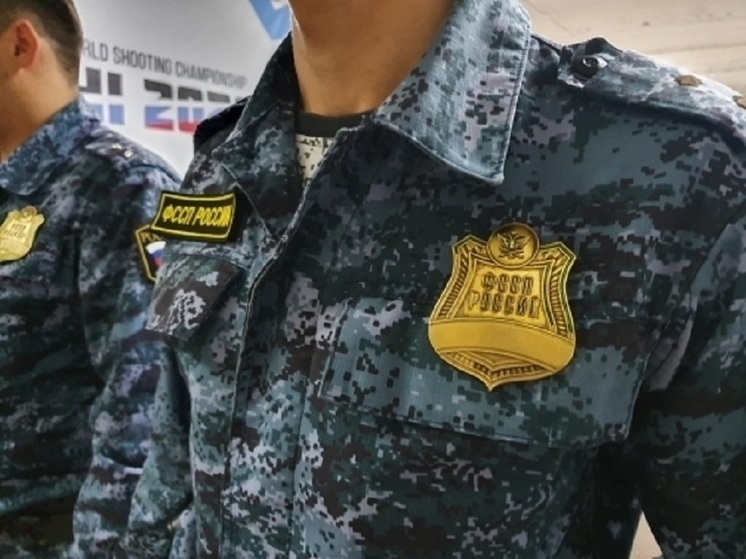 В суды Владимирской области доставлены сотни должников по алиментам