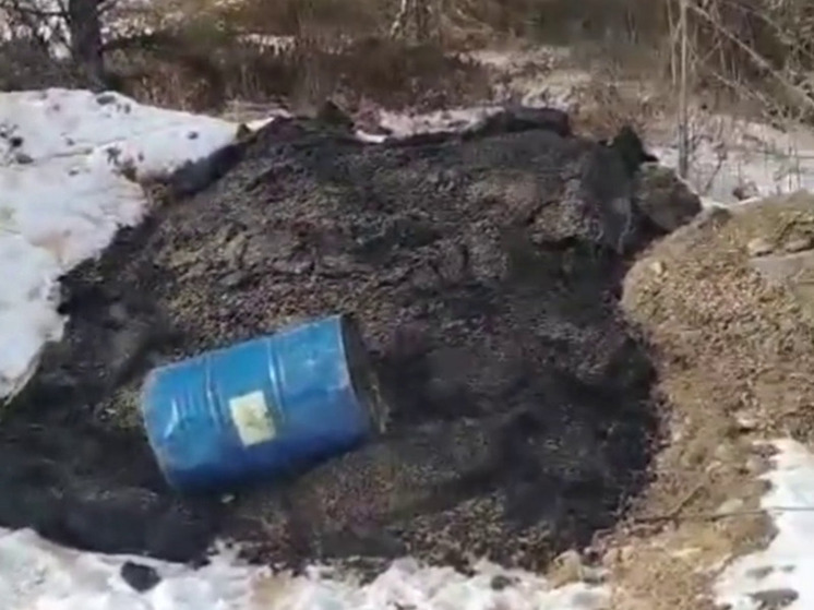 В лесу под Леонидово обнаружили несанкционированную свалку асфальта и битума