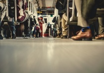 Председатель Общественного совета при Минтрансе России Илья Зотов на своей странице поделился мнением о транспорте Нарьян-Мара