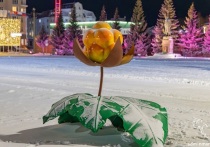 Администрация Нарьян-Мара приглашает жителей в возрасте от 14 до 35 лет принять участие в творческом конкурсе «Талисман Нарьян-Мара» в рамках акции «Мой подарок городу»