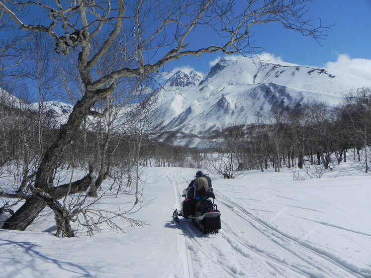 На крайнем юге Камчатки устойчиво держится положительная температура