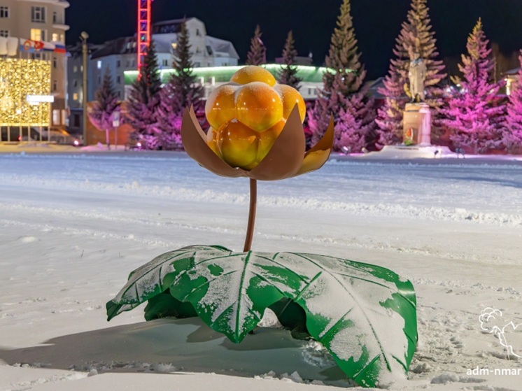 В Нарьян-Маре готовят конкурс по созданию талисмана города