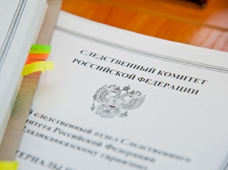 Александру Бастрыкину доложат о расследовании убийства двух женщин в Волгограде