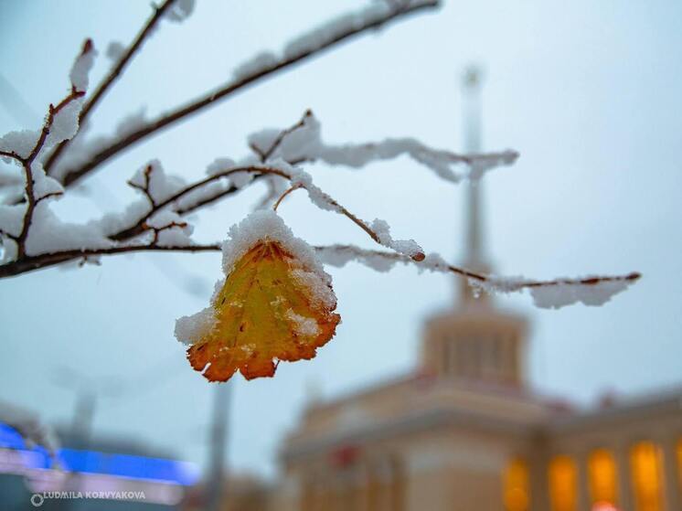 25 ноября в Карелии сохранится плюсовая температура