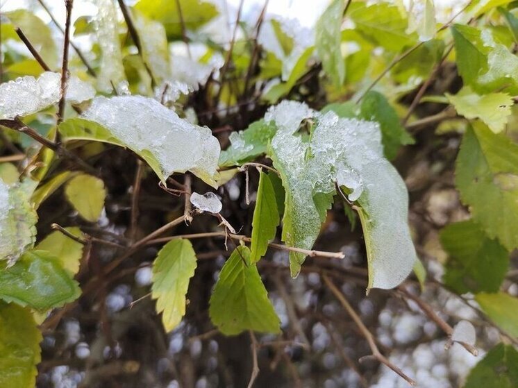 В Омской области сняли режим ЧС, введенный из-за снегопада
