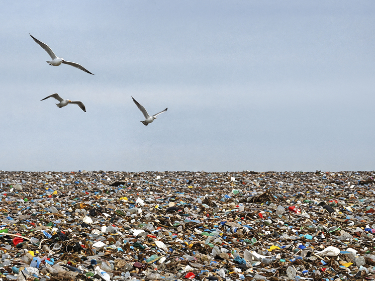 Новый мусороперерабатывающий комплекс на Колыме планируют запустить в 2028 году