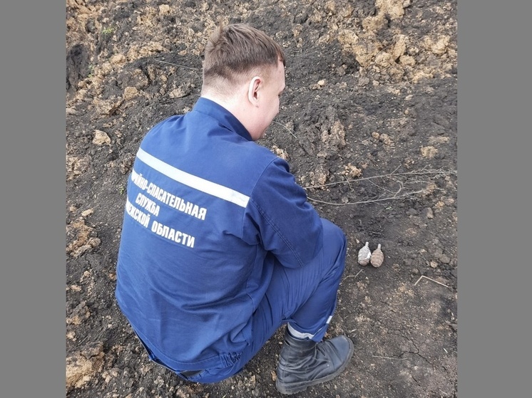 Три гранаты времен ВОВ ликвидировали в Воронежской области