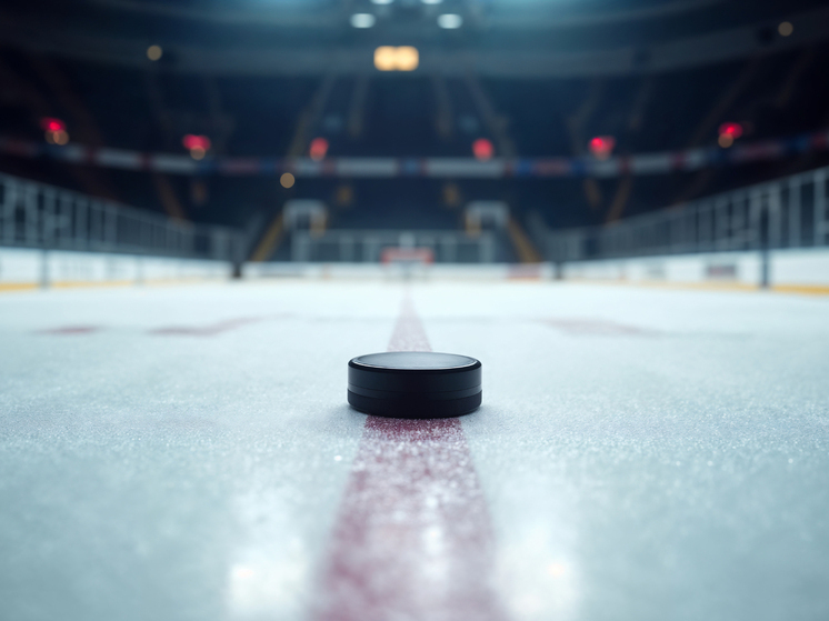 Ледовая арена «Гагарин лед» в Благовещенске официально зарегистрирована в Росреестре