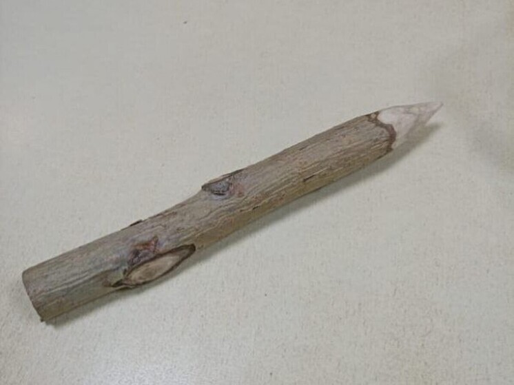 «Энергетический талисман» не прошел досмотр в омском суде