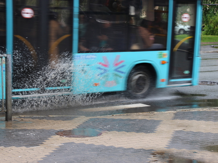 Автобус слетел с дороги на левом берегу Архангельска