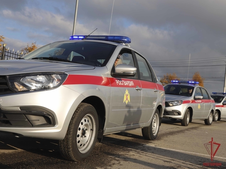 Тульские росгвардейцы за неделю выезжали по сигналу тревоги 210 раз