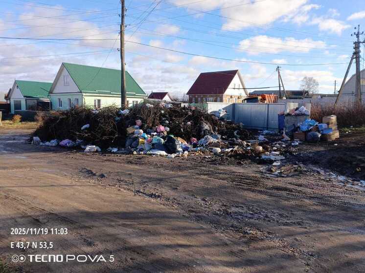 Прокуратура добилась уборки свалки на улице Белинского в Нижнем Ломове