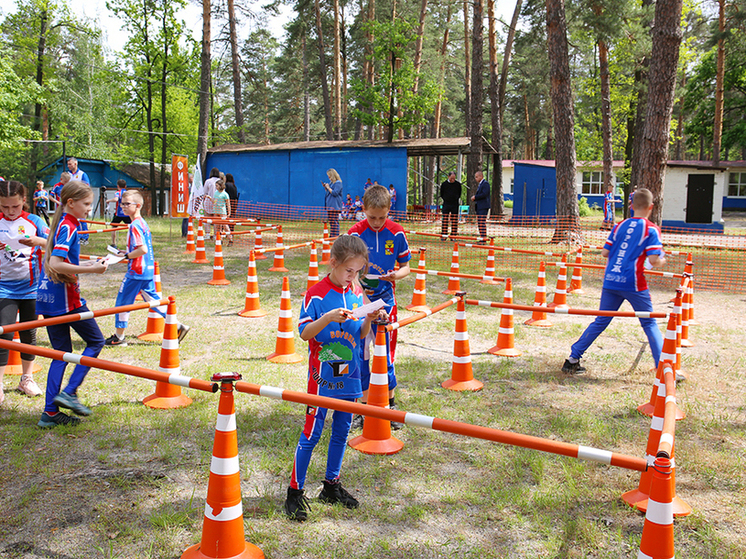 Стоимость путевок в воронежские детские лагеря повысится