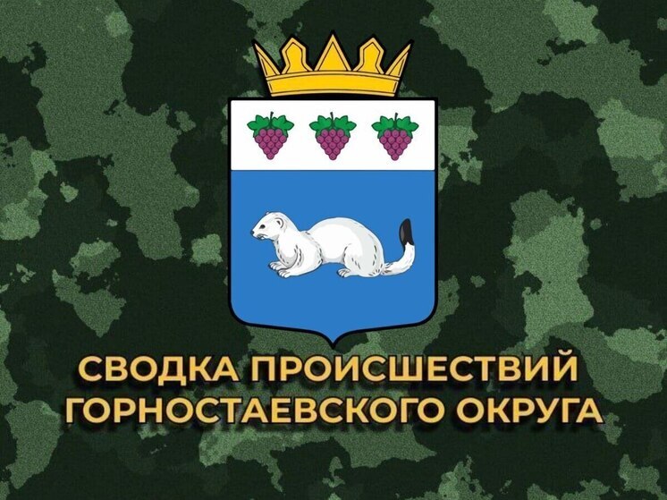 За сутки ВСУ нанесли 17 ударов по Горностаевскому округу