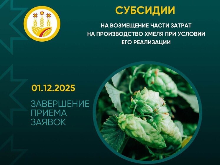 Минсельхоз Чувашии принимает заявки на субсидии для производителей хмеля