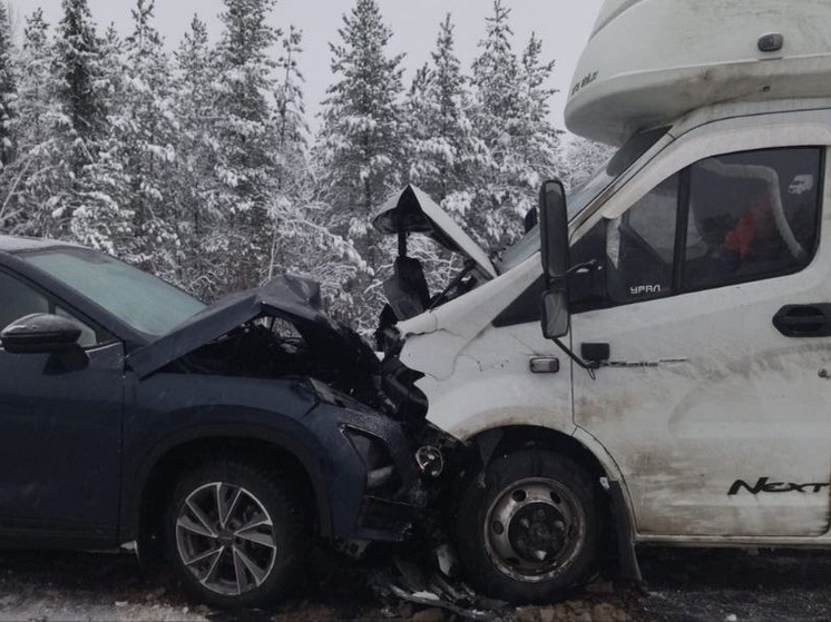 Два человека увезли на скорой после лобового ДТП в районе Зеленоборского