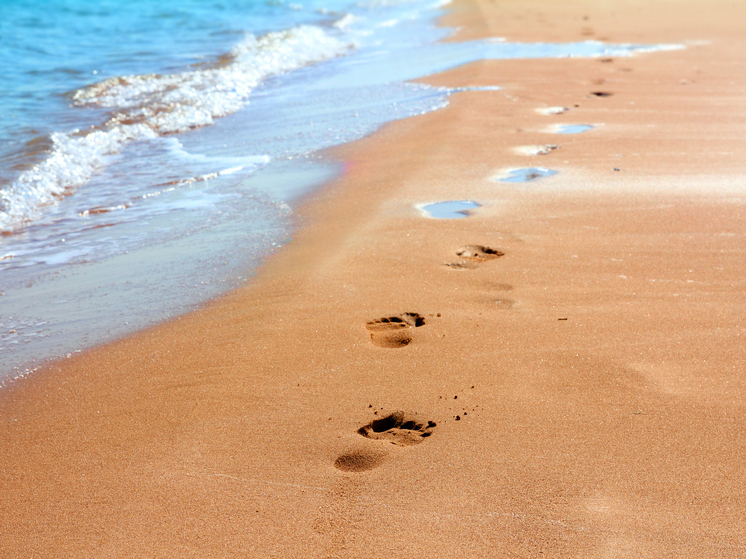 Архангелогородцы рассказали, как используют ежегодный отпуск