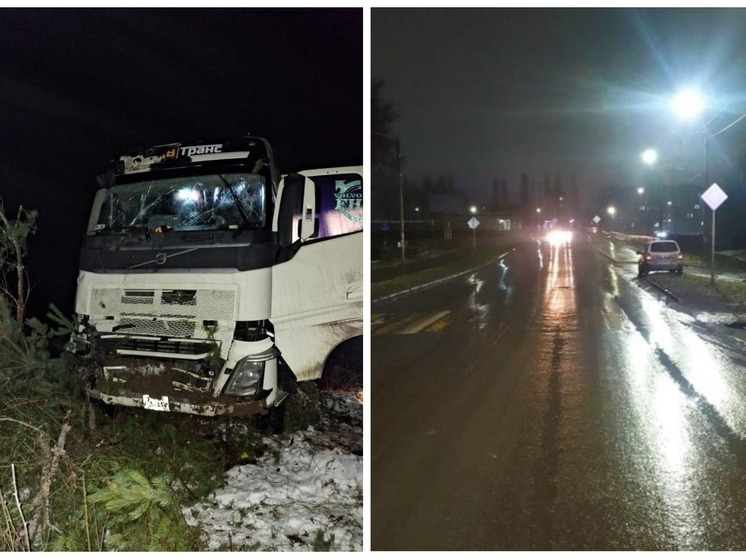 24 ноября на дорогах Марий Эл пострадали водитель грузовика и женщина-пешеход