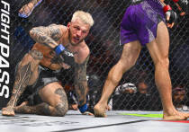 Бойцы провели поединок 22 ноября