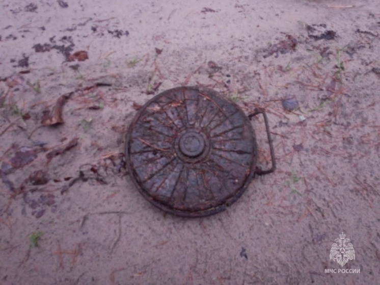 В Карачевском районе брянские спасатели обезвредили мину времен ВОВ