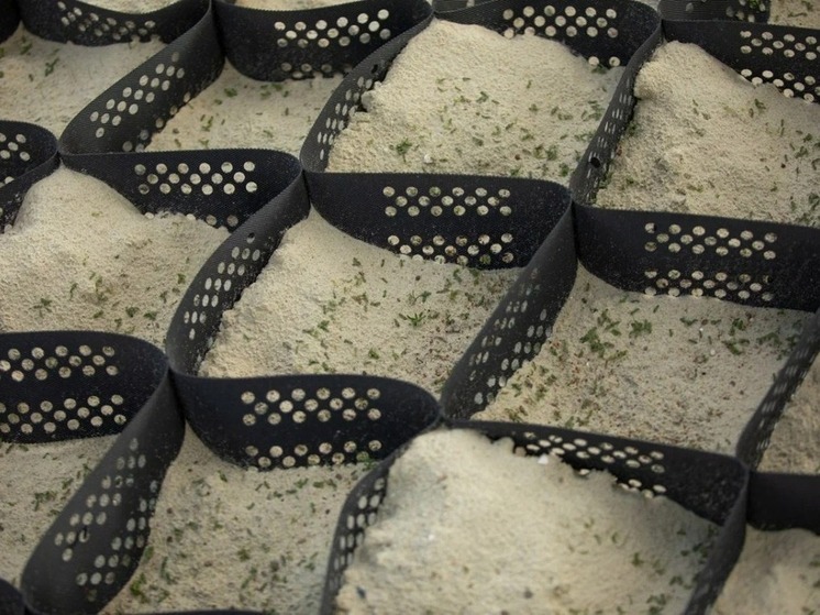 Ученые белгородского вуза нашли способ ускоренного восстановления техногенных пустырей