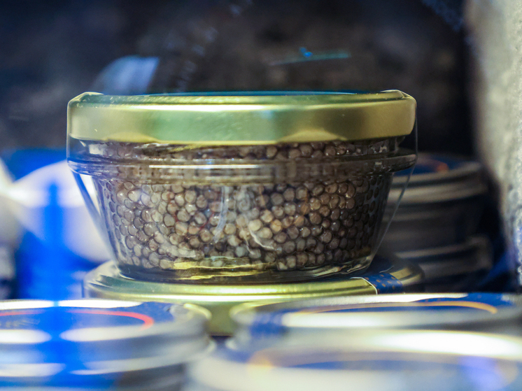 Mash: В Россию завезли крупную партию поддельной чёрной икры