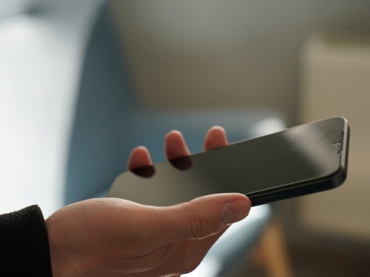 Житель Тулы потерял почти 1 млн рублей, желая быстро заработать в интернете