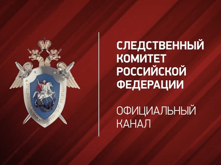 Нарушениями на коношской свалке занялся Следком России