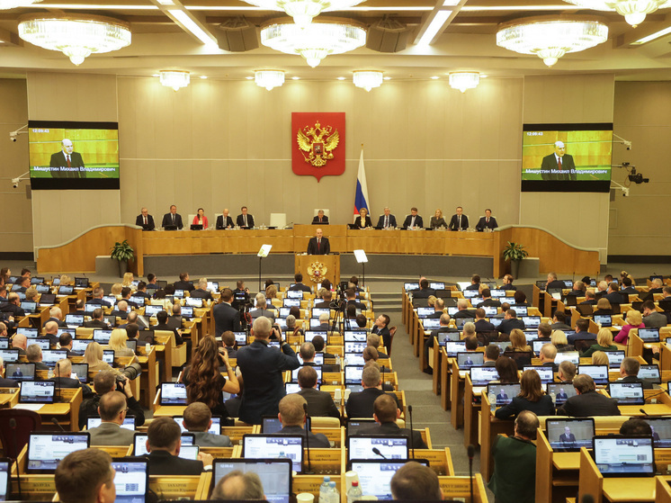 Депутаты предложили амнистию для женщин