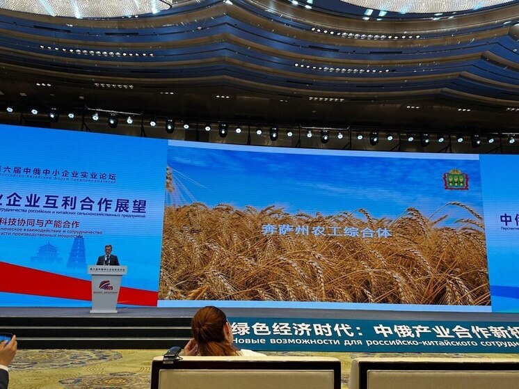 Роман Калентьев рассказал о сельском хозяйстве Пензенской области на форуме предпринимателей РФ и КНР