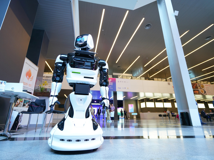 ИИ-помощники начали выполнять рутинную работу за чиновников в Новосибирской области