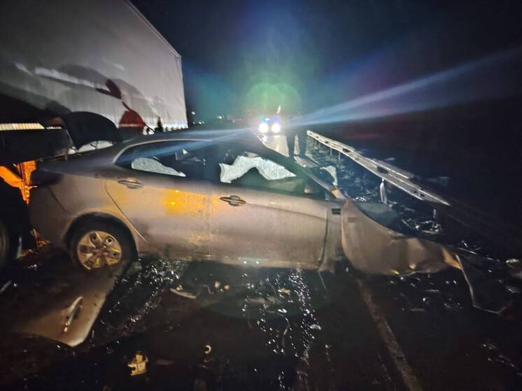 Опубликованы кадры с места ДТП с двумя погибшими в Рязанской области