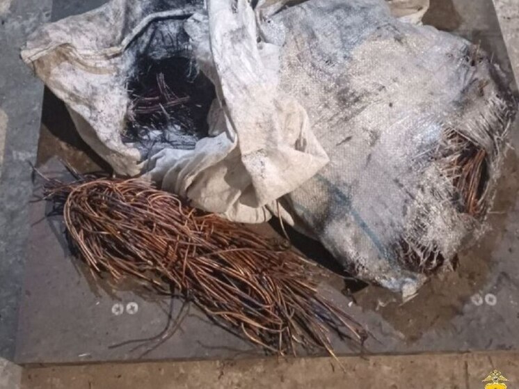 В Херсонской области двое мужчин украли со стройки электрокабель