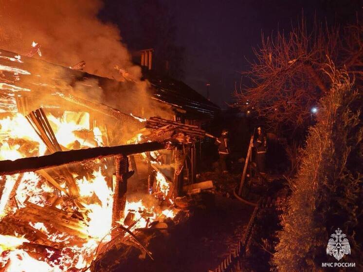 Огонь уничтожил жилой дом в деревне Новая Мельница Новгородского округа