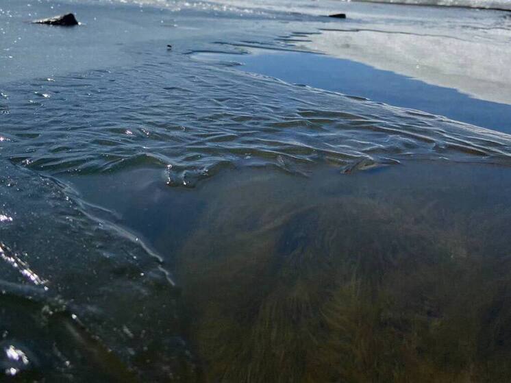 В Алтайском крае девятилетний мальчик провалился под лед