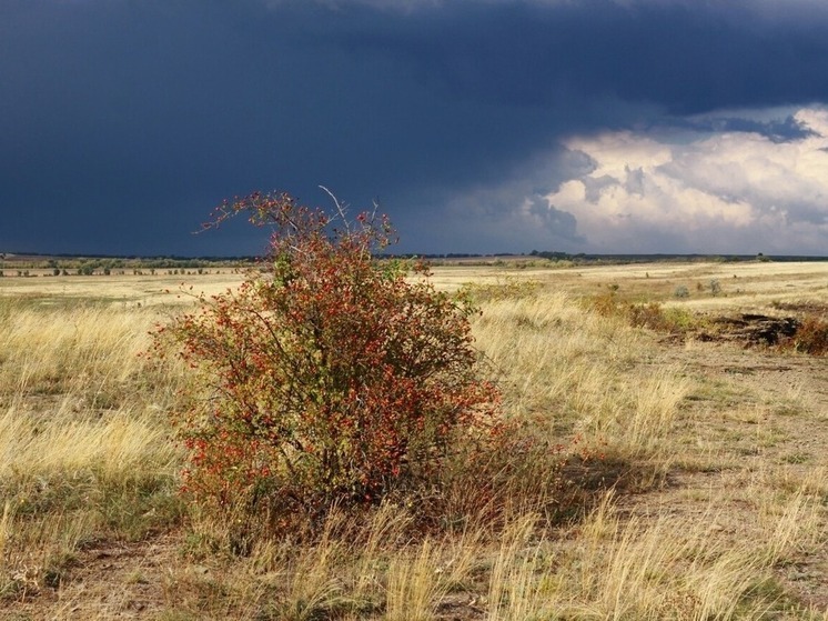 Завтра приметы расскажут о погоде в Калмыкии