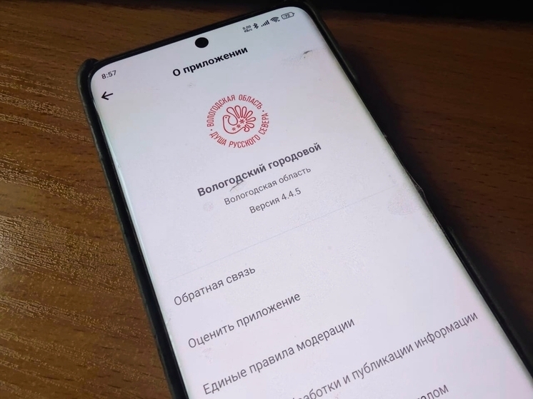 Приложением «Вологодский городовой» пользуются более четырех тысяч вологжан