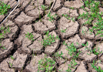 Идея с поворотом российских рек в южные регионы получила недавно второе дыхание